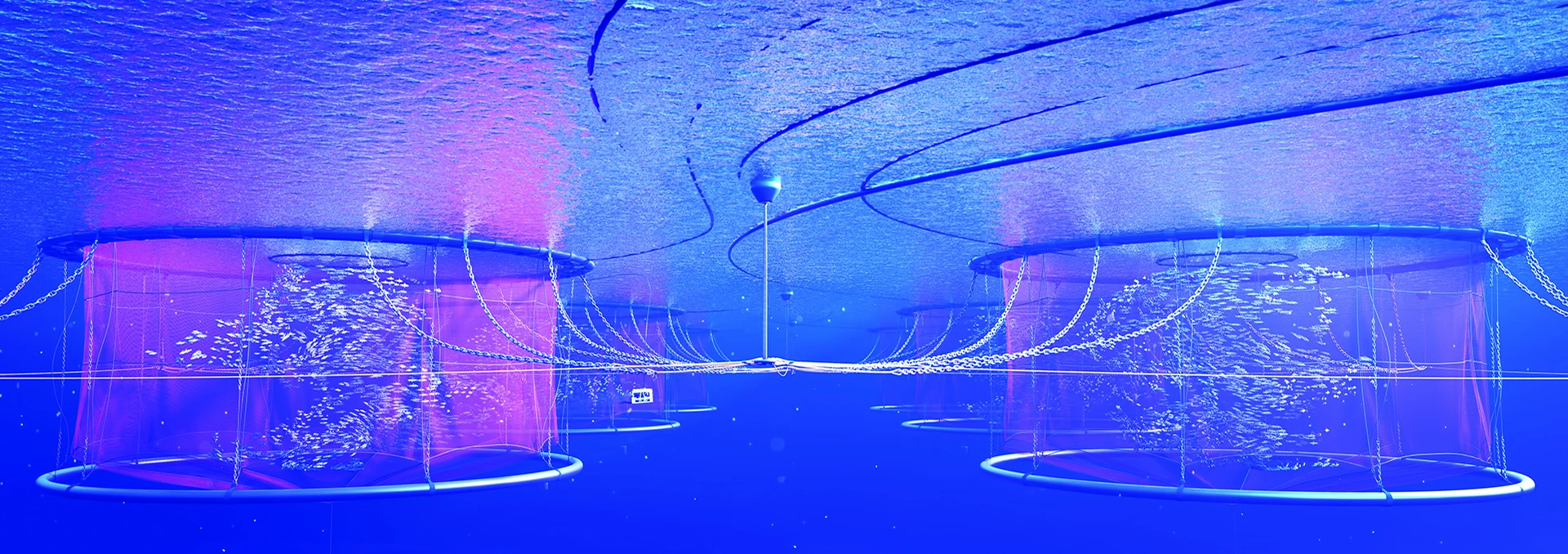 Fish Production Animation Fish Farming & Fishing Vessels | Fish Farming & Fishing Vessels animation